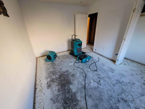 Best Flooded house restoration  in Und City, MO