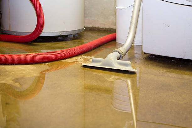 Best Basement water damage restoration  in Und City, MO