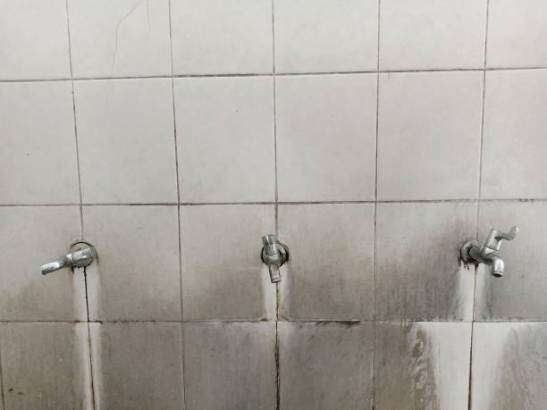 Best Water damage contractors near me  in Und City, MO
